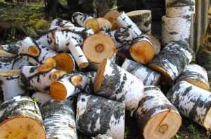 Березовые дрова: ключевые свойства, преимущества использования и рекомендации по выбору